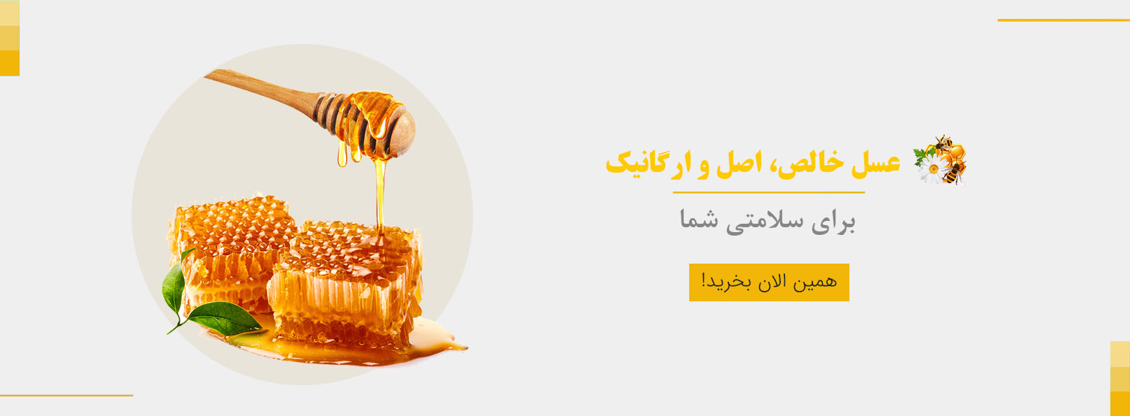 شیرین زر